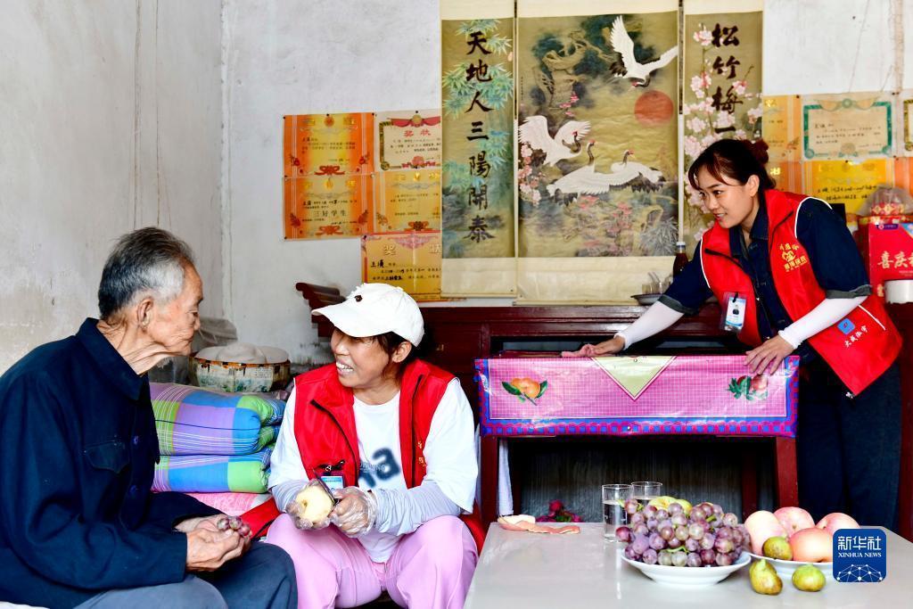 摇钱树摇钱树论坛香港